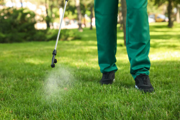 Best Pest Prevention Services  in Fulton, MO