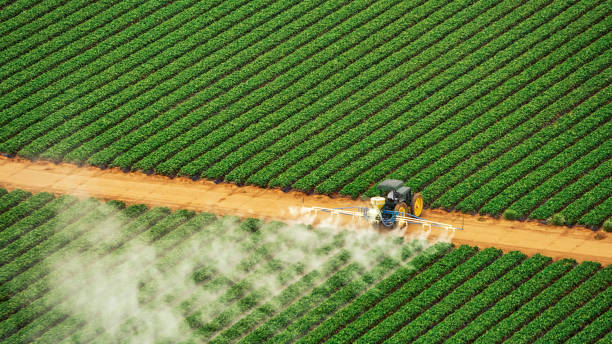 Best Commercial Pest Control Services  in Fulton, MO