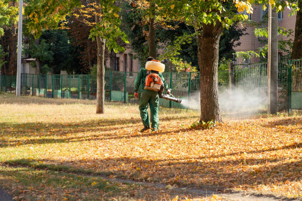 Best Pest Control for Businesses  in Fulton, MO