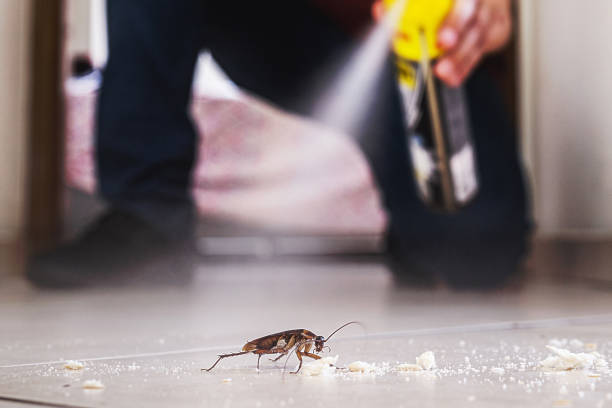Best Cockroach Control Services  in Fulton, MO